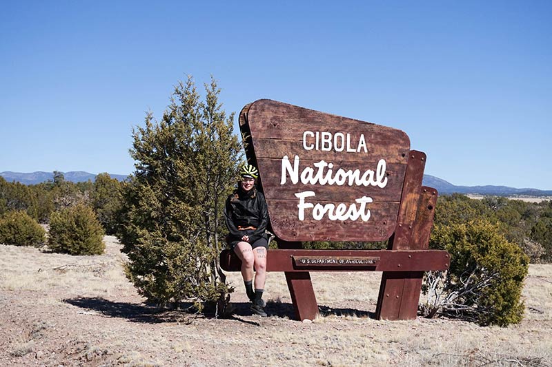 Front view of a person sitting on a bench connected to a Cibola National Forest sign with small bushes on each side