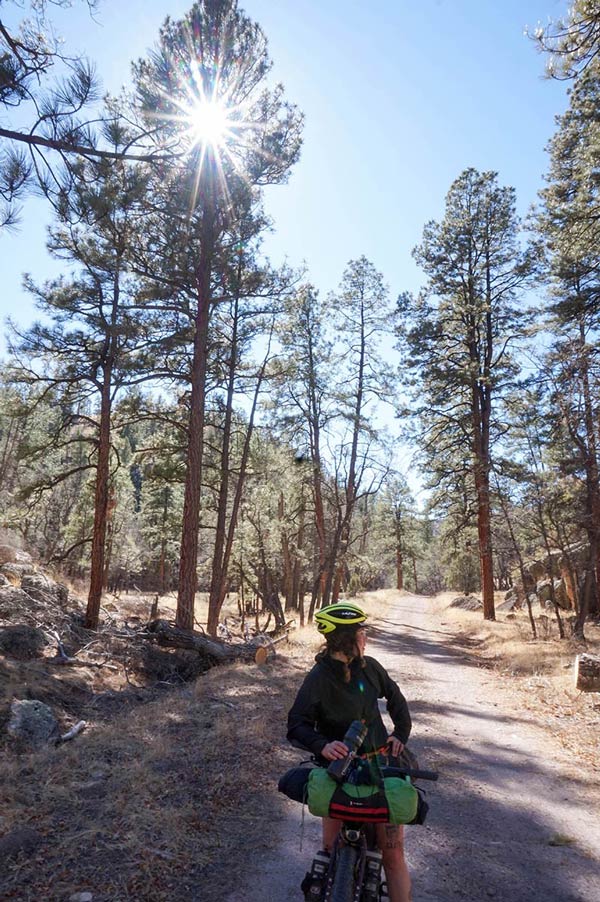 Front view of a cyclist standing on their bike looking backwards on a dirt trail with tall pine trees to the sides