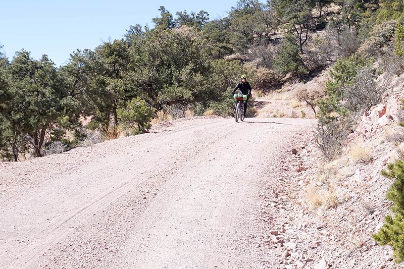 Front view of a cyclist riding down a hill on a sandy, gravel road with hills and desert trees behind
