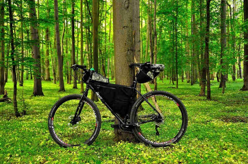 Left side view of a black Surly Ogre bike with a frame bag, parked on the grass, against a tree in a green forest