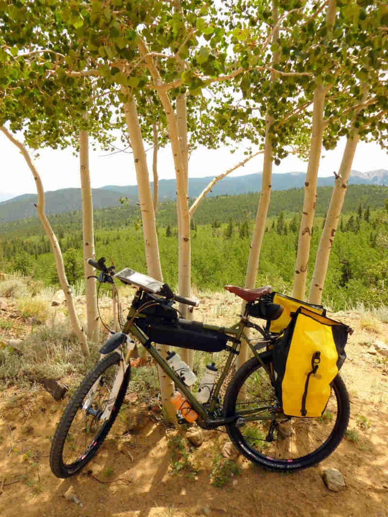 Left side view of a green Surly bike with rear saddlebags, leaning on small trees, with a field and mountains behind