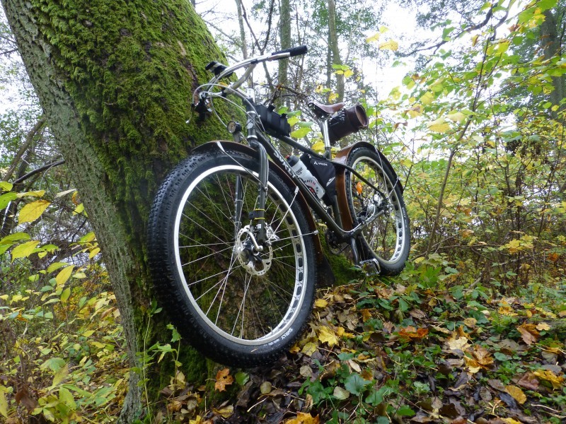 Front left view of a Surly ECR bike facing downhill, leaning on a mossy tree in the woods