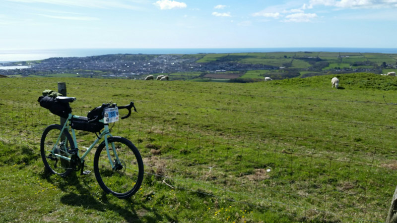 Right front view of a Surly bike next to a green field with sheep in the background