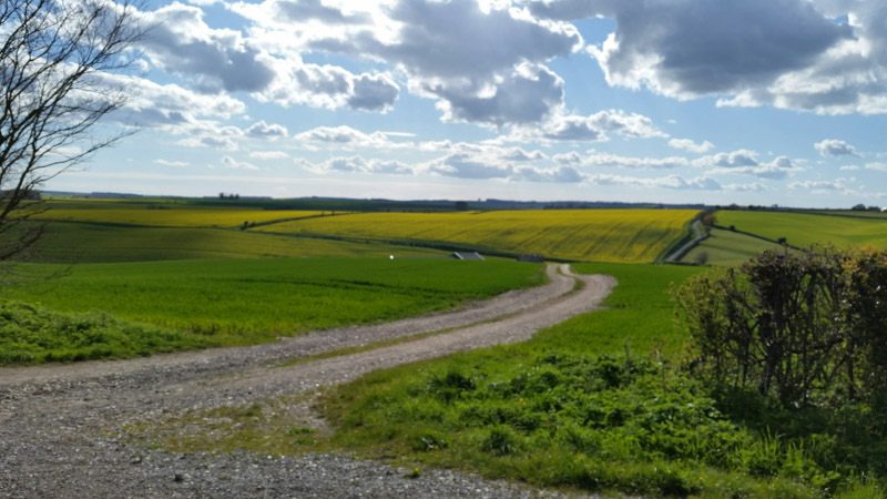 A gravel road in the middle of a grassy field and blue sky with clouds above