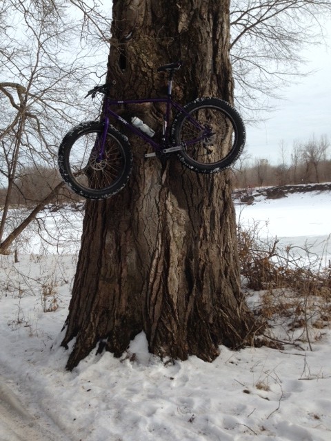 Left side view of a purple Surly Pugsley fat bike, mounted up on a tree trunk, with snowy woods in the background