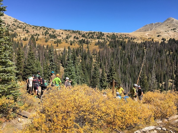 A group of people gathered in yellow brush with pine trees, mountain hills and blue sky behind them