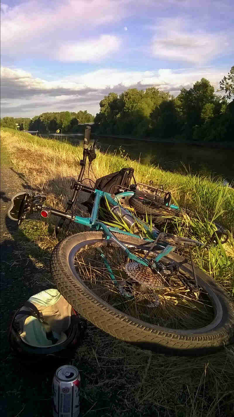 Rear, ground level view of a green Surly Troll bike, laying down on a grassy bank of a river