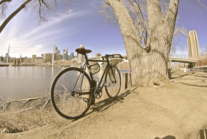 Rear, right side view of black Surly bike, on a river bank, facing a tree with a city skyline in the background
