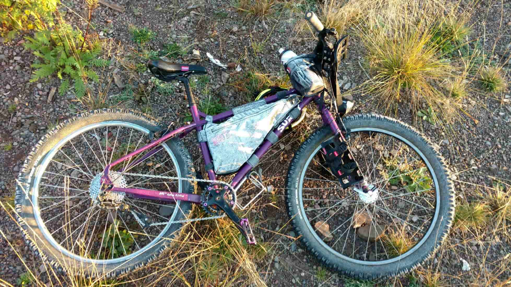 Downward left side view of a purple Surly Troll bike loaded with gear, laying on it's left side in gravel and weeds