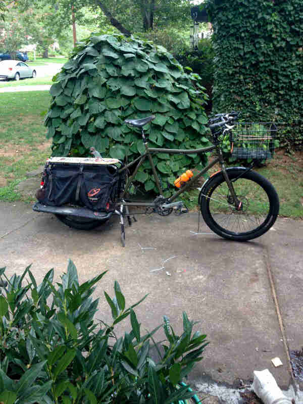 Right side view of an olive Surly Big Dummy bike, parked on a driveway in front of a bush