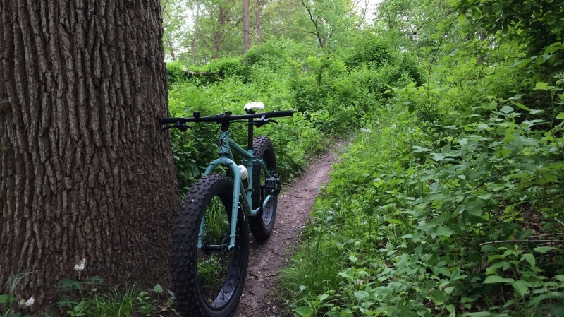 Front view of a Surly Wednesday MY17 fat bike, mint, parked next to a large tree, on a narrow dirt trail in the woods