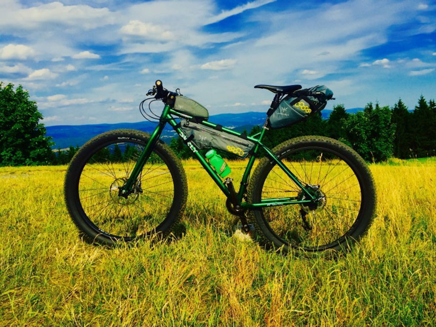 Left side view of a green Surly Krampus bike with gear packs, parked in a grass field with trees in the background