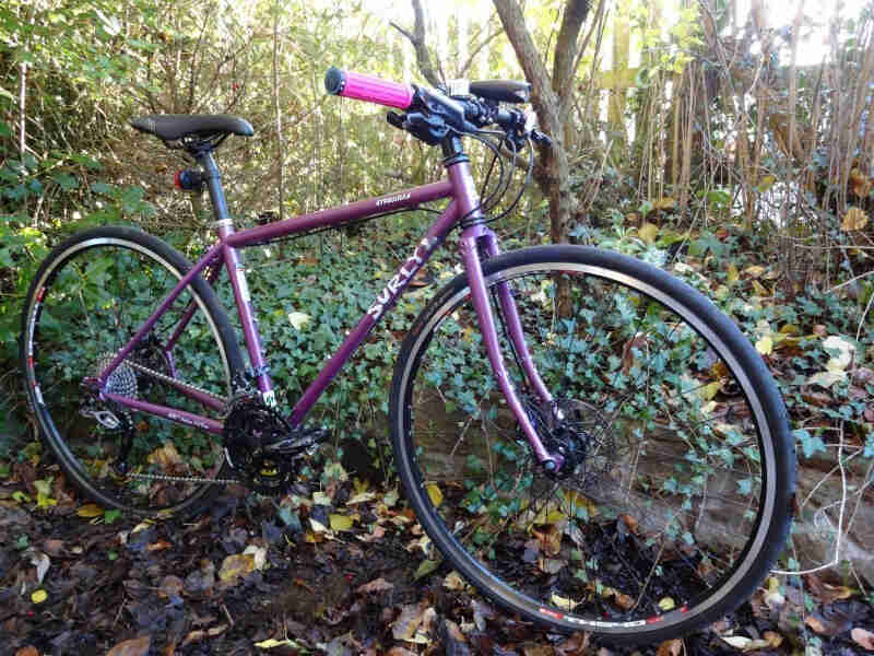 Right side view of a purple Surly Straggler bike, parked on leaves, in the brushy woods