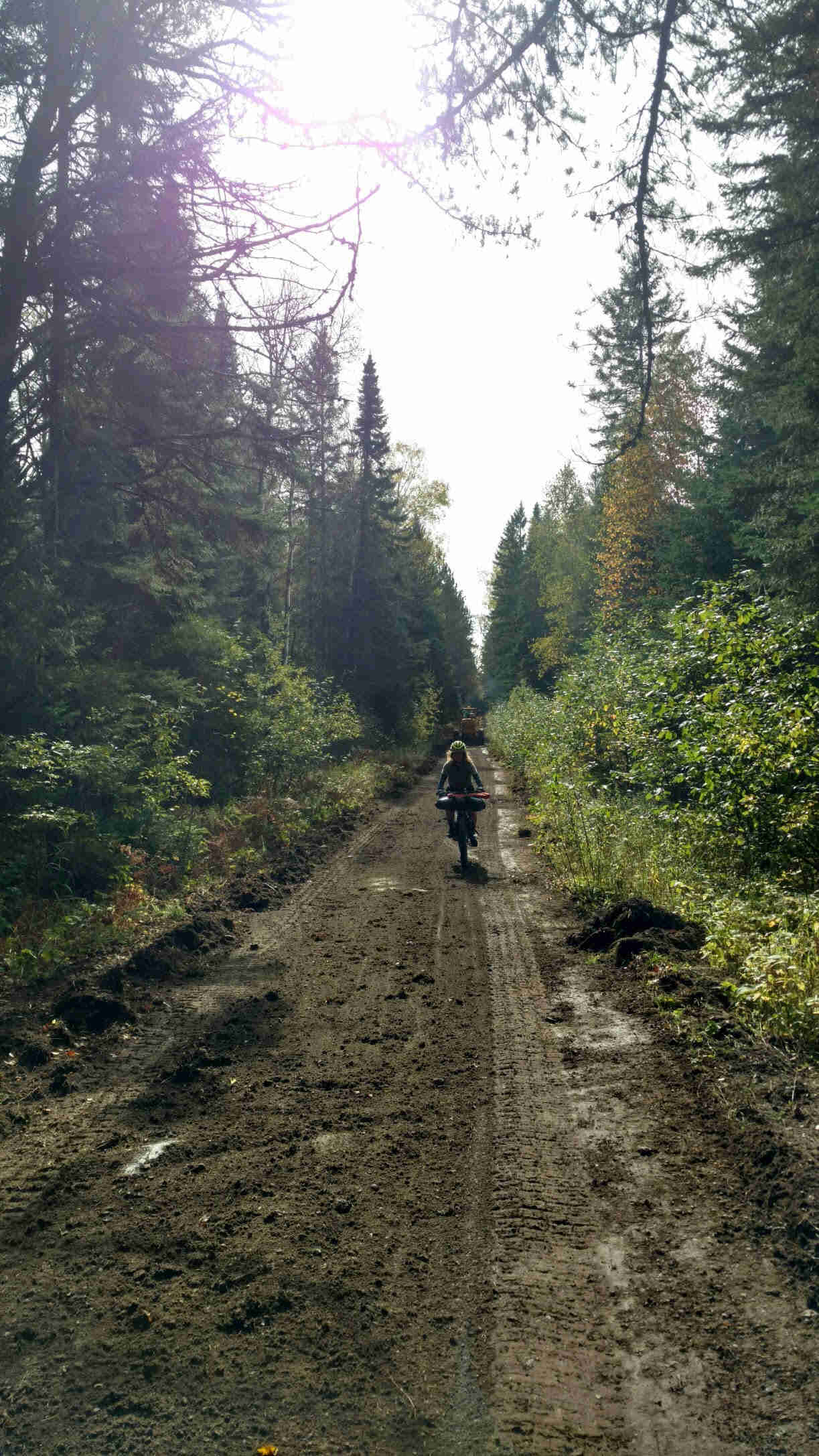 Front view of a cyclist riding down a narrow dirt road with trees on the sides