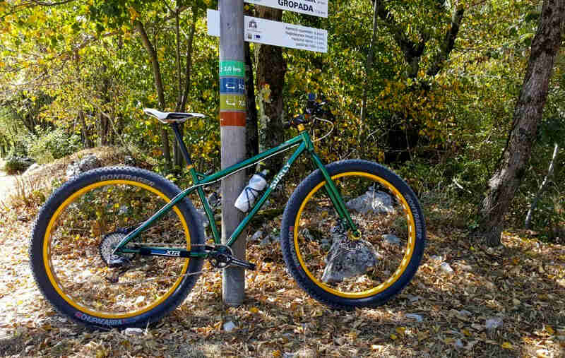 Right profile of a Surly bike, green, parked on leave in front of a sign pole, with the woods in the background