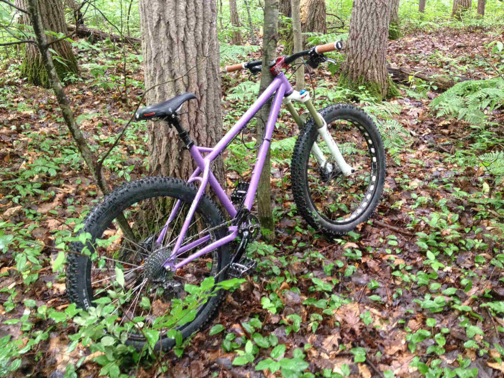 Right side view of a purple Surly Instigator bike, leaning against a tree in a wet forest