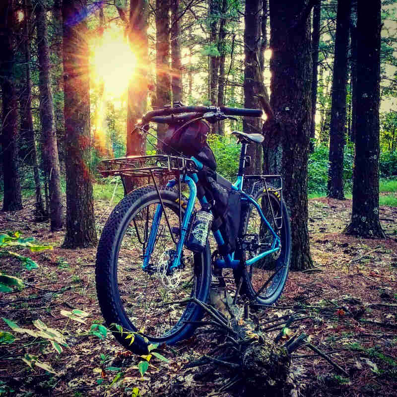 Front left side view of a Surly bike, blue, parked on a forest floor, with sun shining through trees in the background