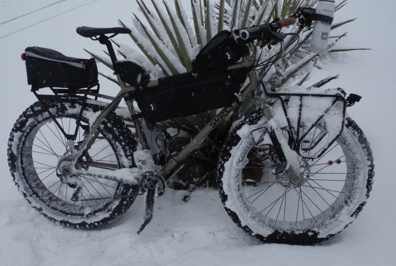 Right side view of a tan Surly Moonlander fat bike with gear packs, parked in front of a spiny plant in the snow