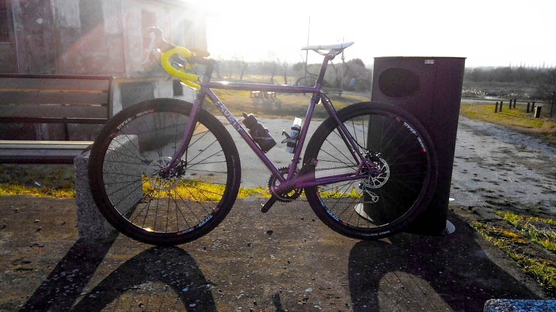Left side view of a purple Surly Straggler bike, parked against a park bench and trash can