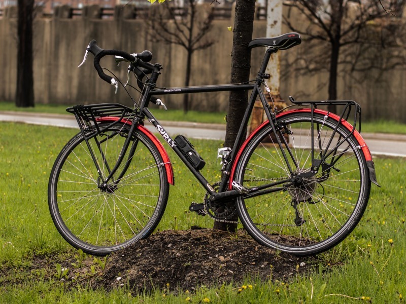 Left side view of a black Surly Cross bike, parked in a grass field against a tree