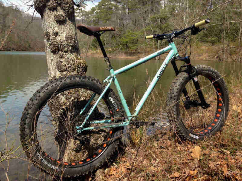 Right side view of a Surly Wednesday MY17 fat bike, mint, parked against a tree on a grassy bank of a pond in the woods
