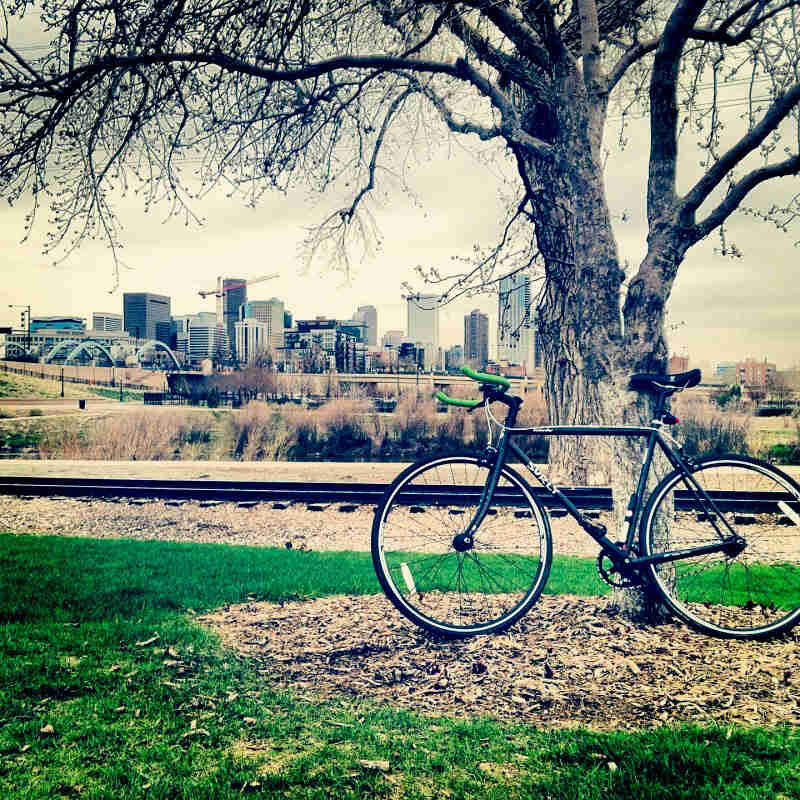 Left side view of a Surly bike, parked in front of a tree, with train tracks and a city skyline in the background