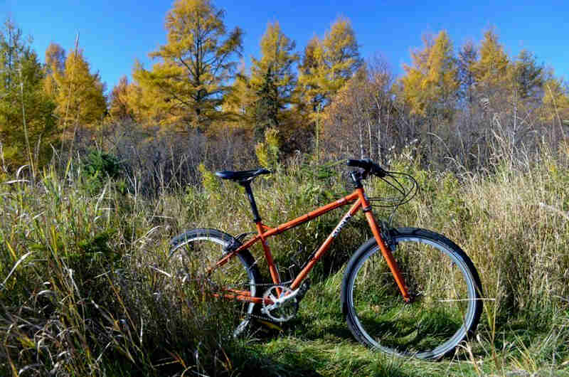 Right side view of an orange Surly Troll bike, standing in tall weeds, and trees with yellow leaves in the background