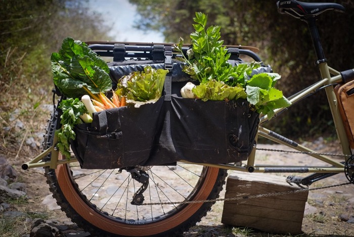 Cropped right side view of the rear end of a Surly Big Fat Dummy bike, with vegetables in the side bags